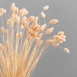 Dunelm Dried Pink Phalaris Bundle -Decorative Discount Store 30747118 alt02