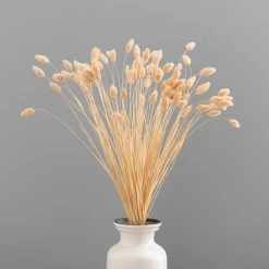 Dunelm Dried Pink Phalaris Bundle -Decorative Discount Store 30747118 alt03