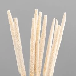 Dunelm 10 Dried Babala Stems Bleached Bundle -Decorative Discount Store 30747119 alt02