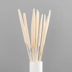 Dunelm 10 Dried Babala Stems Bleached Bundle -Decorative Discount Store 30747119 alt03