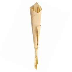 Dunelm 10 Dried Babala Stems Bleached Bundle -Decorative Discount Store 30747119 alt04