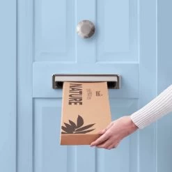 Dunelm Lavender And Foliage Letterbox Bouquet -Decorative Discount Store 30748824 alt04