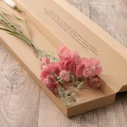 Dunelm Eucalyptus Foxtail And Fern Letterbox Bouquet -Decorative Discount Store 30748825 alt03