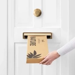 Dunelm Gypsophila And Eucalyptus Letterbox Bouquet -Decorative Discount Store 30748829 alt04