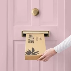 Dunelm Lagarus Chestnut And Ranunculus Letterbox Bouquet -Decorative Discount Store 30748833 alt04