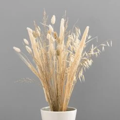 Dunelm Natural And Bleached Mixed Dried Bouquet -Decorative Discount Store 30748836 alt03