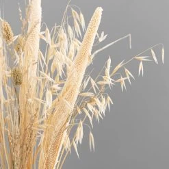 Dunelm Natural And Bleached Mixed Dried Bouquet -Decorative Discount Store 30748836 alt04