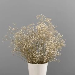 Dunelm Dried White Gypsophila Bundle -Decorative Discount Store 30748843 alt03