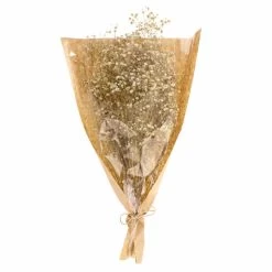 Dunelm Dried White Gypsophila Bundle -Decorative Discount Store 30748843 alt04