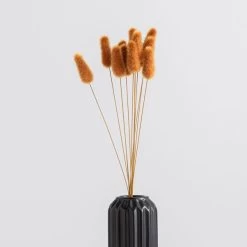 Dunelm Artificial Lagurus Bundle -Decorative Discount Store 30749012 alt03