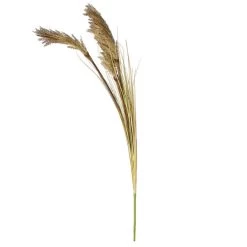 Dunelm Tall Natural Seeded Grass 128cm -Decorative Discount Store 30749015 alt04