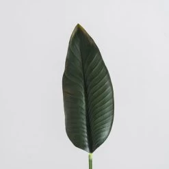 Dunelm Banana Leaf Stem 90cm 6 Dunelm Banana Leaf Stem 90cm -Decorative Discount Store 30749025 alt01