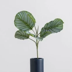 Dunelm Artificial Calathea Stem -Decorative Discount Store 30749027 alt03