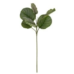 Dunelm Artificial Calathea Stem -Decorative Discount Store 30749027 alt04
