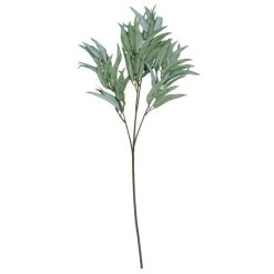 Dunelm Green Olive Tree Branch -Decorative Discount Store 30749054 alt04
