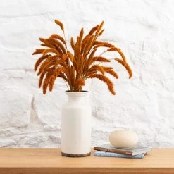 Dunelm Dried 55cm Orange Setaria Macrostachia Bundle