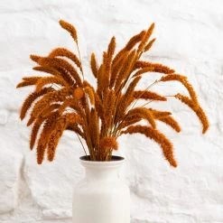 Dunelm Dried 55cm Orange Setaria Macrostachia Bundle -Decorative Discount Store 30751171 alt04