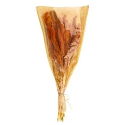 Dunelm Dried 55cm Orange Setaria Macrostachia Bundle -Decorative Discount Store 30751171 alt05