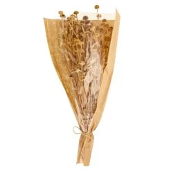 Dunelm Dried Natural Wild Daisy Bundle -Decorative Discount Store 30751174 alt05