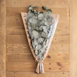 Dunelm Preserved Eucalyptus Syneria Bundle -Decorative Discount Store 30751175 alt01