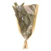 Dunelm Preserved Eucalyptus Bundle