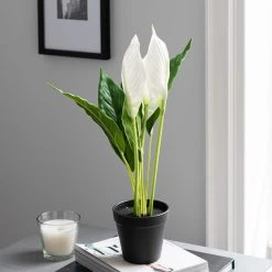 Dunelm Artificial Peace Lily In Black Pot 50cm -Decorative Discount Store 30752426 alt02