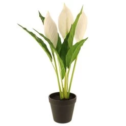 Dunelm Artificial Peace Lily In Black Pot 50cm -Decorative Discount Store 30752426 alt03