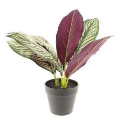 Dunelm Artificial Chinese Evergreen In Black Pot 30cm -Decorative Discount Store 30752429 alt03