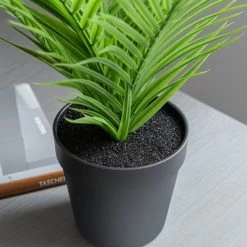 Dunelm Artificial Parlour Plant In Black Pot 30cm -Decorative Discount Store 30752433 alt03
