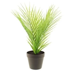 Dunelm Artificial Parlour Plant In Black Pot 30cm -Decorative Discount Store 30752433 alt04