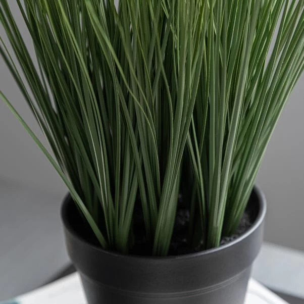 Dunelm Artificial Grass In Black Pot 30cm 2 Dunelm Artificial Grass In Black Pot 30cm - Image 2