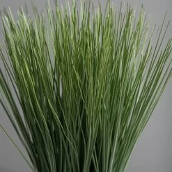 Dunelm Artificial Grass In Black Pot 30cm 6 Dunelm Artificial Grass In Black Pot 30cm -Decorative Discount Store 30752434 alt02