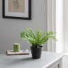 Dunelm Artificial Fern In Black Pot 30cm