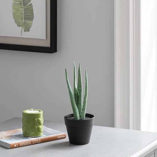 Dunelm Artificial Aloe Vera In Black Pot 24cm 1 Dunelm Artificial Aloe Vera In Black Pot 24cm