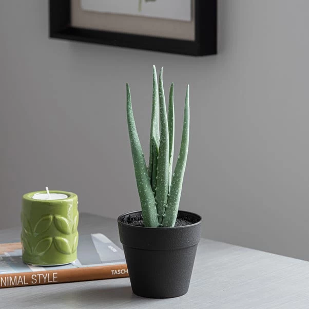 Dunelm Artificial Aloe Vera In Black Pot 24cm 3 Dunelm Artificial Aloe Vera In Black Pot 24cm - Image 3