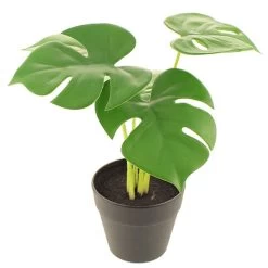 Dunelm Artificial Cheese Plant In Black Pot 24cm -Decorative Discount Store 30752438 alt03