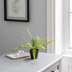 Dunelm Artificial Fern In Black Pot 24cm