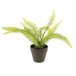Dunelm Artificial Fern In Black Pot 24cm -Decorative Discount Store 30752439 alt03