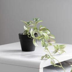 Dunelm Artificial Trailing Tradescantia In Black Pot 45cm -Decorative Discount Store 30752440 alt02