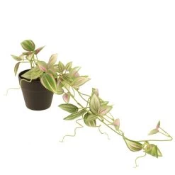 Dunelm Artificial Trailing Tradescantia In Black Pot 45cm -Decorative Discount Store 30752440 alt03
