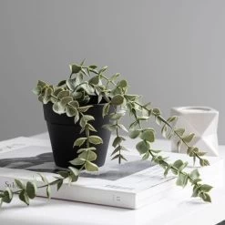 Dunelm Artificial Trailing Eucalyptus In Black Pot 45cm -Decorative Discount Store 30752442 alt02