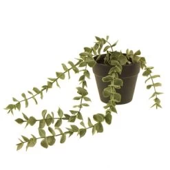 Dunelm Artificial Trailing Eucalyptus In Black Pot 45cm -Decorative Discount Store 30752442 alt03