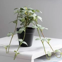 Dunelm Artificial Trailing Leaves In Pot -Decorative Discount Store 30752445 alt02