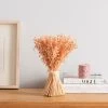 Dunelm Pretty Boho Pink Standing Dried Bundle