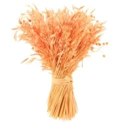 Dunelm Pretty Boho Pink Standing Dried Bundle -Decorative Discount Store 30752446 alt03