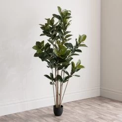 Dunelm Artificial Rubber Tree 180cm -Decorative Discount Store 30754631 alt03