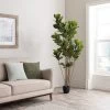 Dunelm Artificial Fig Tree 180cm