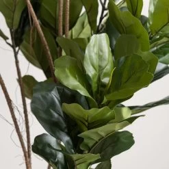 Dunelm Artificial Fig Tree 180cm -Decorative Discount Store 30754632 alt01