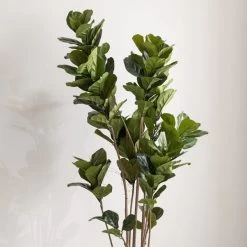 Dunelm Artificial Fig Tree 180cm -Decorative Discount Store 30754632 alt02