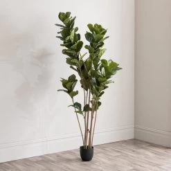 Dunelm Artificial Fig Tree 180cm -Decorative Discount Store 30754632 alt03